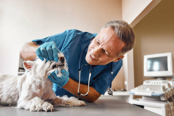 Best Emergency Tooth Extraction  in Mccoll, SC